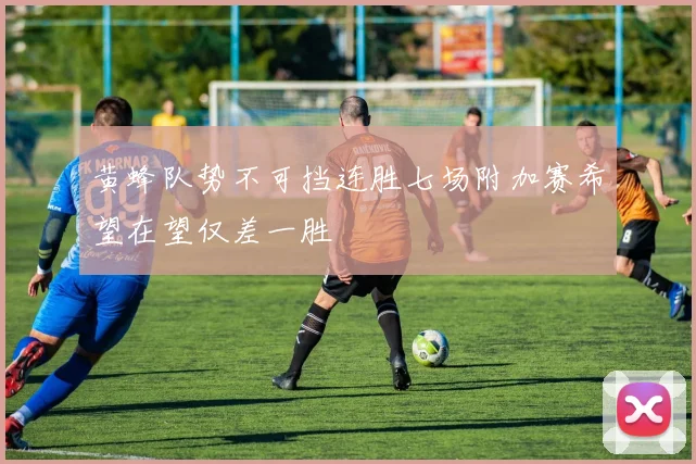 黄蜂队势不可挡连胜七场附加赛希望在望仅差一胜