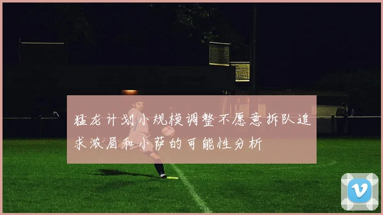 猛龙计划小规模调整不愿意拆队追求浓眉和小萨的可能性分析